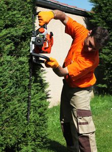 Jardinier pour taille de haie Jardinier pour taille de haie
